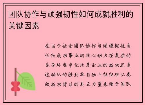 团队协作与顽强韧性如何成就胜利的关键因素