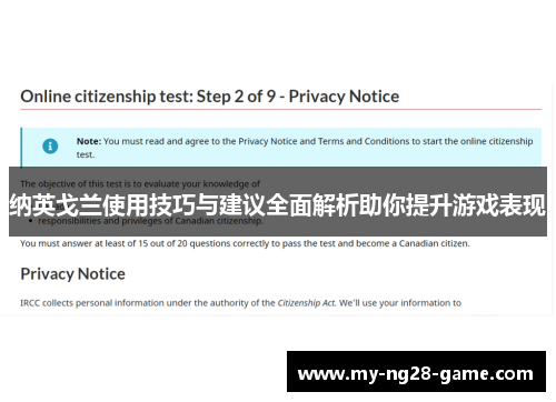 纳英戈兰使用技巧与建议全面解析助你提升游戏表现