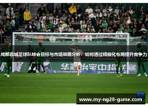 成都蓉城足球队转会目标与市场策略分析：如何通过精细化布局提升竞争力